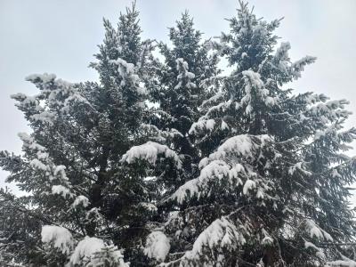 С Новым годом и Рождеством! С Новым годом и Рождеством!